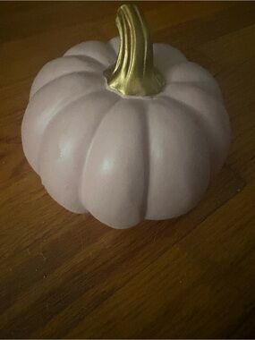 Decorative Matte Pink Pumpkin with Gold Stem